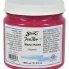 Discount 🔔 Sax True Flow Acrylic Mural Paint, 33.8 Ounce Plastic Container, Magenta 💯 -Crayola - shop 1370727 ecommfullsize