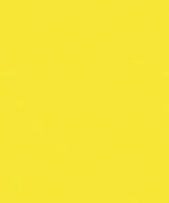 Cheap ✔️ Liquitex BASICS Acrylic Paint, 4 Ounces, Primary Yellow ✔️ -Crayola - shop 1468945 ecommfullsize