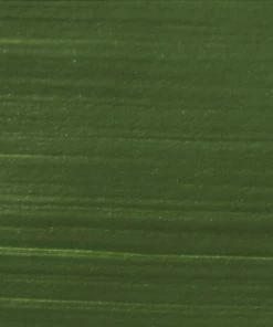 Best Pirce ✨ Sax True Flow Heavy Body Acrylic Paint, Quart, Chrome Oxide Green 🎉 -Crayola - shop 1572457 swatch ecommfullsize 1