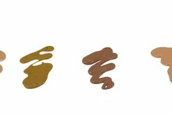 New π Sax Washable Versatemp Tempera Paints, Multicultural Colors, Pints, Set Of 8 π 7 New π Sax Washable Versatemp Tempera Paints, Multicultural Colors, Pints, Set Of 8 π -Crayola - shop 1592699 E ecommfullsize