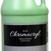 Brand new 🛒 Chromacryl Premium Students Acrylic Paint, Half Gallon, Light Green 🛒 -Crayola - shop 361484 ecommfullsize